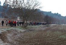 Els participants traçant un dels camins de la Marxa del Terme 2019. Fotografia: Foto Isidre