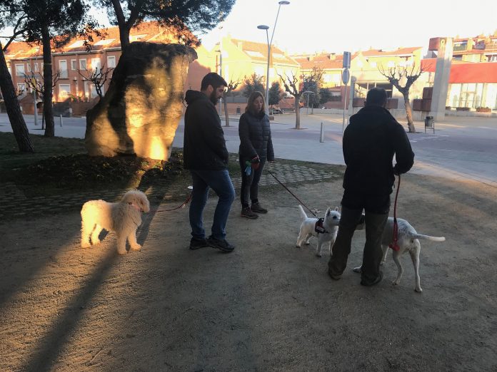 Veïns de Sant Fruitós de Bages passejant els seus gossos