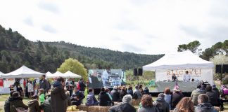 Festa Alícia't 2019. Fotografia: Premsa Fundació Catalunya La Pedrera