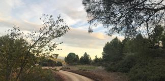 Sant Fruitós de Bages millora els camins del municipi / Fotografia: Ajuntament de Sant Fruitós